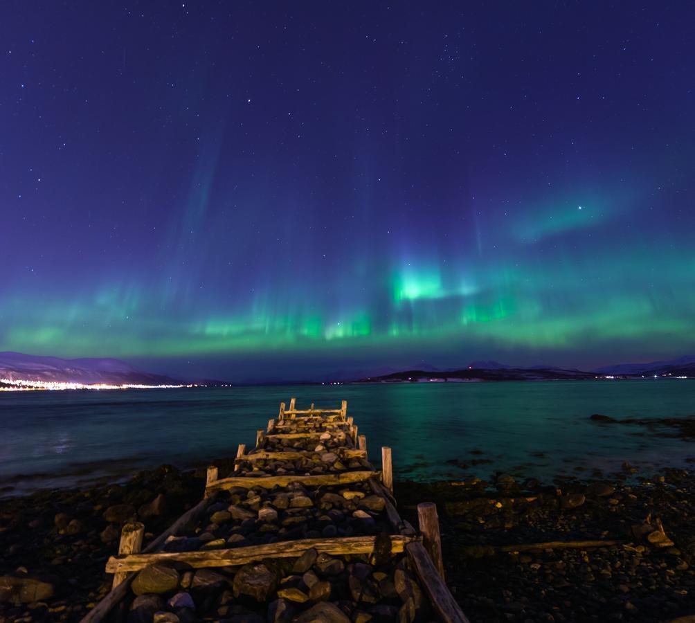 Vikran Vacation: Sea Fishing And Northern Lights Eksteriør bilde