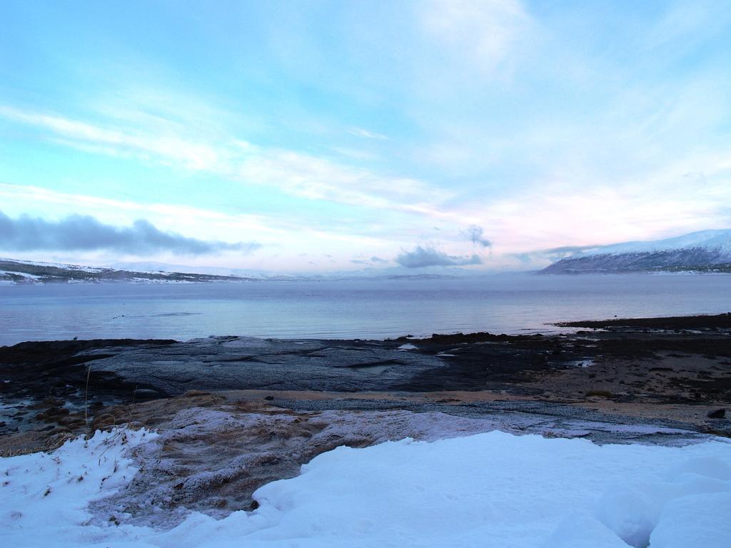 Vikran Vacation: Sea Fishing And Northern Lights Eksteriør bilde