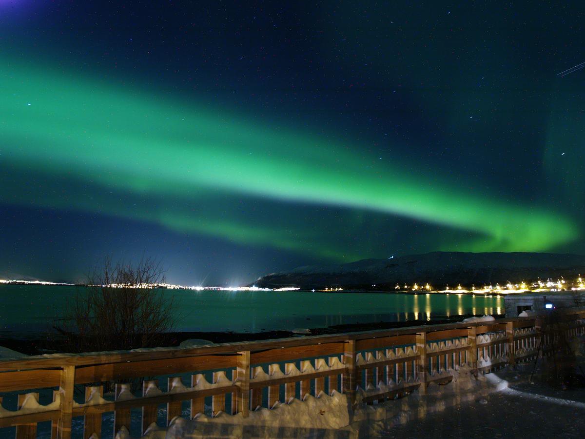 Vikran Vacation: Sea Fishing And Northern Lights Eksteriør bilde