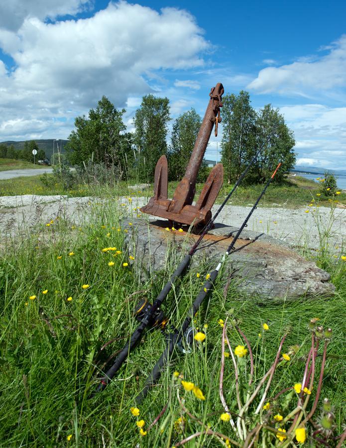Vikran Vacation: Sea Fishing And Northern Lights Eksteriør bilde
