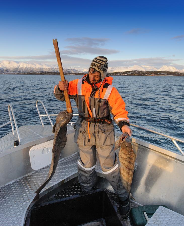 Vikran Vacation: Sea Fishing And Northern Lights Eksteriør bilde