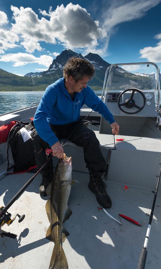 Vikran Vacation: Sea Fishing And Northern Lights Eksteriør bilde