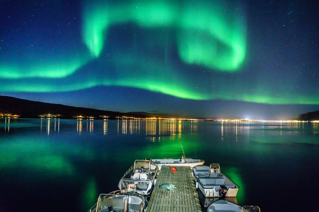 Vikran Vacation: Sea Fishing And Northern Lights Eksteriør bilde