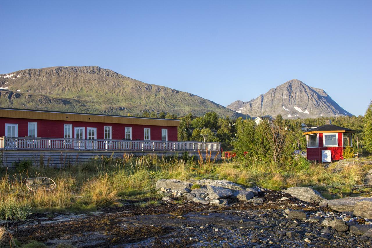 Vikran Vacation: Sea Fishing And Northern Lights Eksteriør bilde