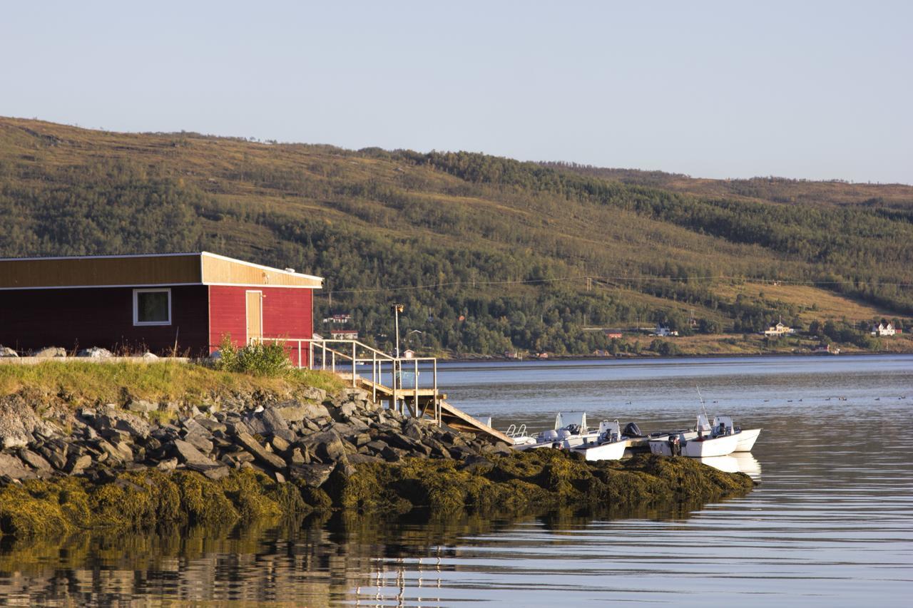 Vikran Vacation: Sea Fishing And Northern Lights Eksteriør bilde