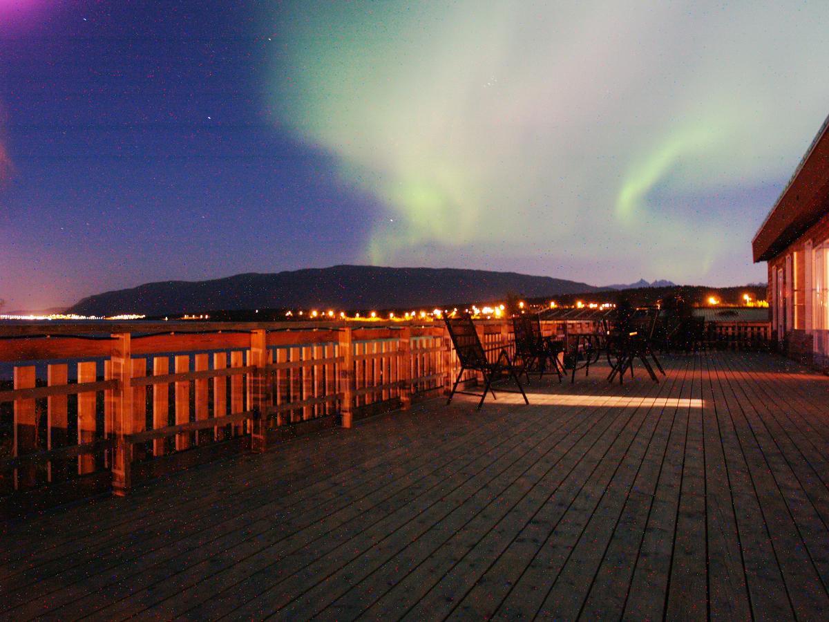 Vikran Vacation: Sea Fishing And Northern Lights Eksteriør bilde