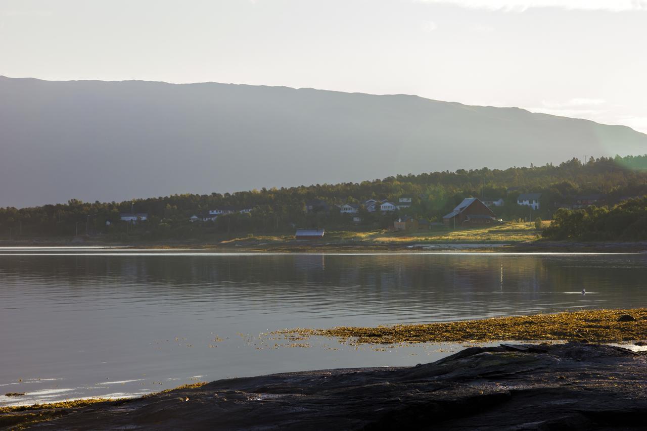 Vikran Vacation: Sea Fishing And Northern Lights Eksteriør bilde