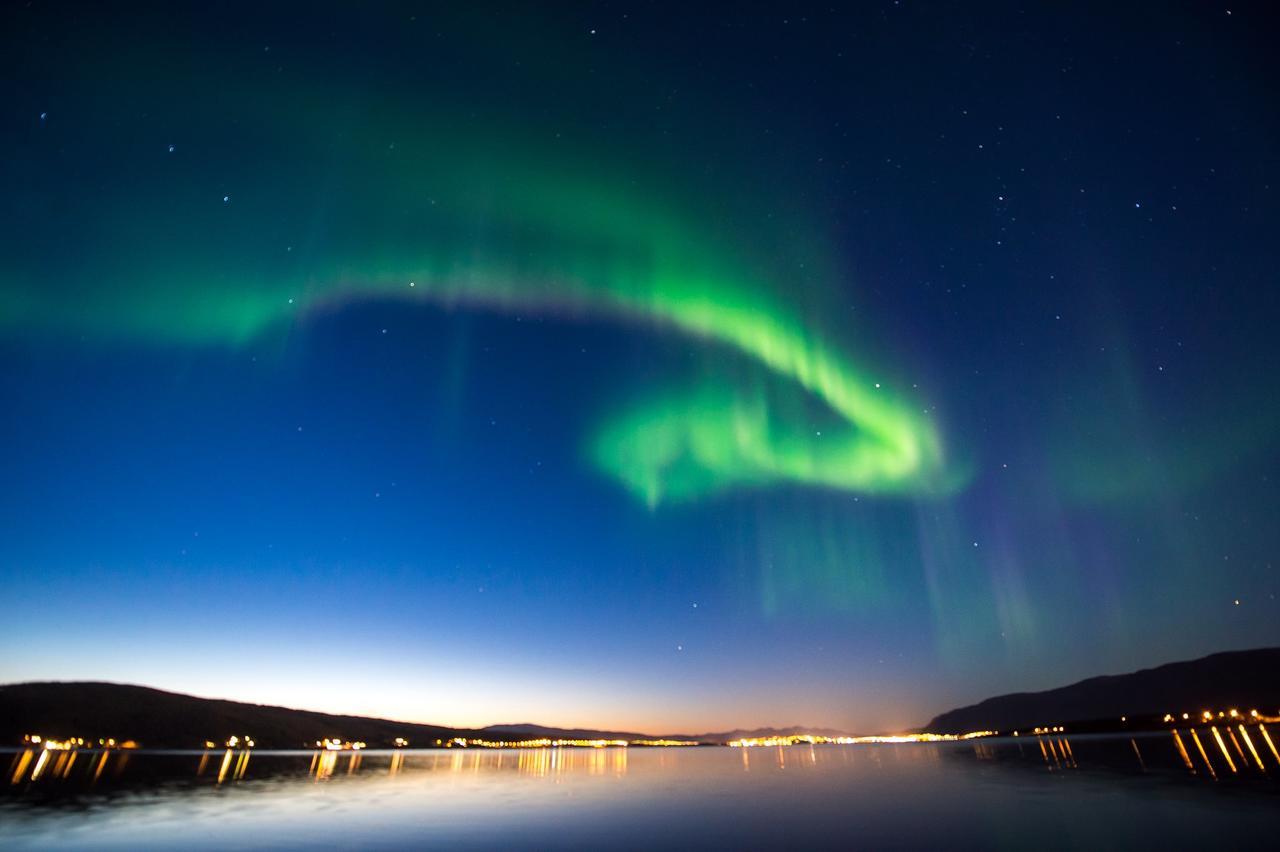 Vikran Vacation: Sea Fishing And Northern Lights Eksteriør bilde